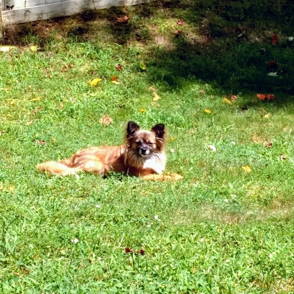 0000 - Picture 2 of 2